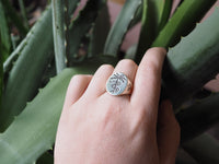 Paradise Signet Bronze *READY TO SHIP*